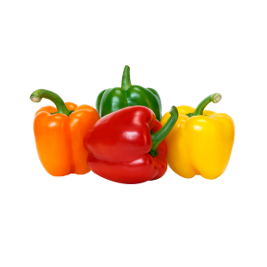 Supplément Poivrons pour Pizza Duo